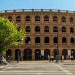 Best of Valencia: Highlights with Private Transport - Who Will Love This Tour?