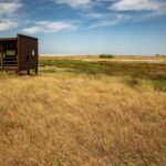 Best views to Porto from Gaia. VW Kombi tour with cocktail - Who Will Love This Tour?