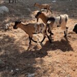 Between sea and hills: in the footsteps of Allauch, Aix, Marseille - Practical Tips for Travelers