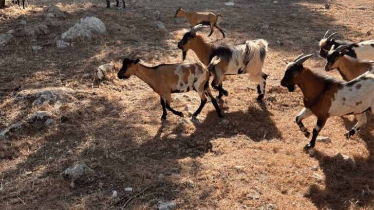 Between sea and hills: in the footsteps of Allauch, Aix, Marseille - Practical Tips for Travelers