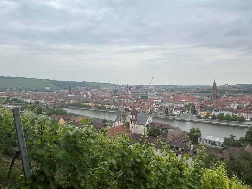 Between vineyards and a royal residence  enjoy Würzburg's wines with a view - Value and Overall Impression