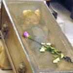 Beyond the veil: Catacombs and Cemeteries of Palermo - Who Should Consider This Tour?