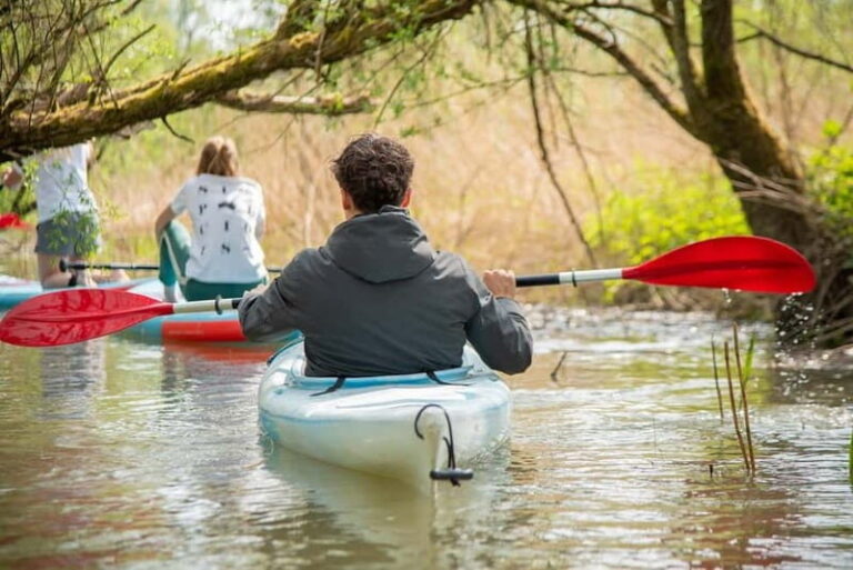 Biesbosch: Kayak Rental with Route Map and Life Jacket - The Journey: What to Expect During Your Paddle