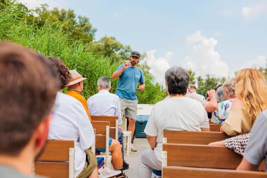 Biesbosch: National Park Cruise - The Itinerary Breakdown