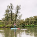 Biesbosch: SUP Board Rental - A Closer Look at the SUP Experience