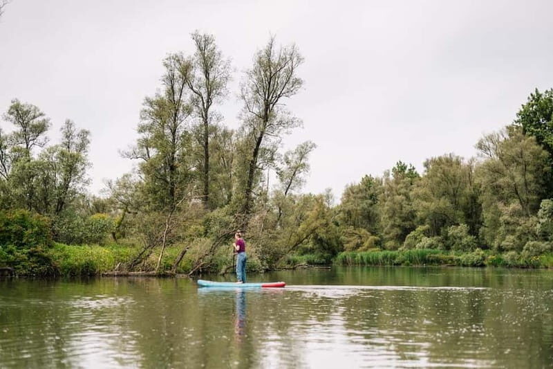 Biesbosch: SUP Board Rental - A Closer Look at the SUP Experience