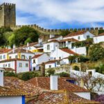 Big Waves of Nazaré - Private Tour - Transportation and Group Size