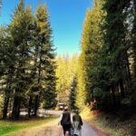 Bijambare Cave and Spring of River Bosna Tour - Why This Tour Works Well