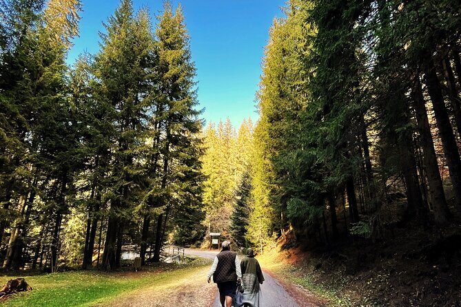 Bijambare Cave and Spring of River Bosna Tour - Why This Tour Works Well