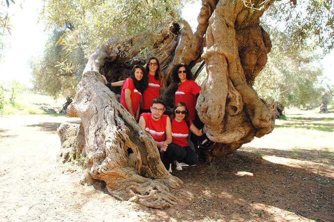 Bike oil tour in Monopoli - What Travelers Say: Authentic Insights