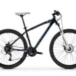 Bike Rental - An In-Depth Look at the Experience