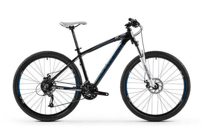 Bike Rental - An In-Depth Look at the Experience