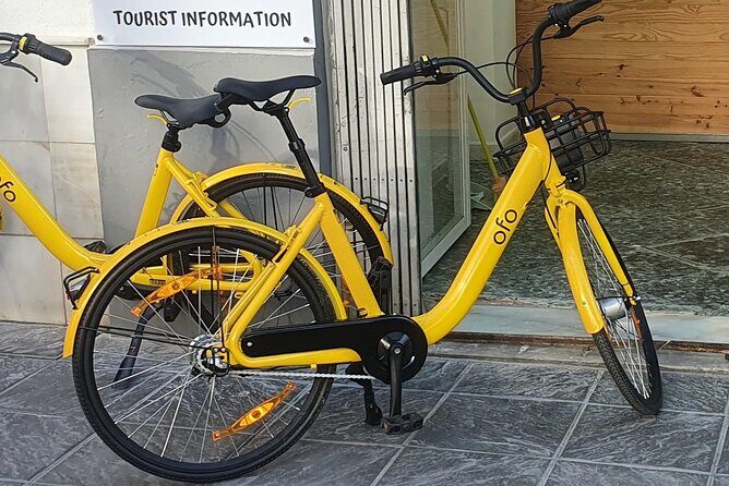 Bike Rental per Day in Seville - The Value of This Bike Rental Experience