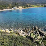 Bike rental: Port of Cagliari, Su Siccu, Nervi Park, Molentargius - What’s Included and How It Adds Value