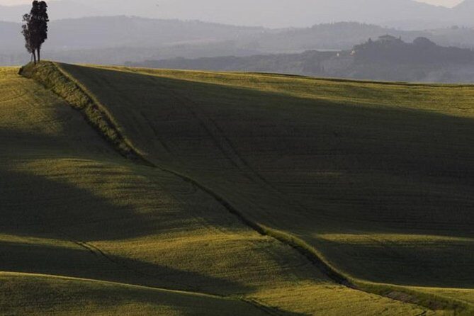 Bike Ride immersion val d'Orcia - What’s the Experience Like?