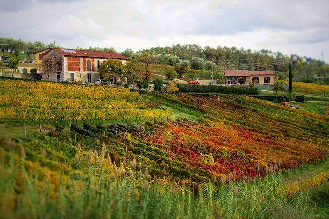 Bike Ride & WIne Tasting - The Value Proposition