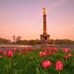 Bike Tour of Berlin Top Attractions with Private Guide - What to Expect from the Tour