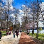 Bike Tour Tirana - Day Trip into Culture, History and Nature - What Travelers Say: Authentic Feedback