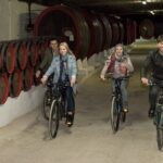 Biking a Guinness Book Winery - Value and Practical Tips