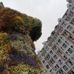 Bilbao and Guggenheim Museum Private tour - The Sum Up