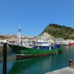 Bilbao, Guggenheim & Getaria: A Private Day Tour Adventure - The Reviews: Authentic Perspectives