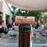 Binissalem: Individual vineyard tour and wine tasting in German - The Wines & Why They Matter