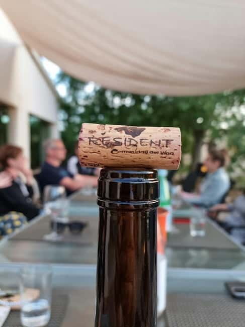 Binissalem: Individual vineyard tour and wine tasting in German - The Wines & Why They Matter