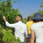 Biodynamic Farm and Natural Wines Tasting in Lazise - Who This Experience Is Best For