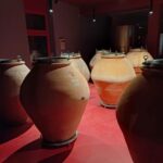 Biodynamics vineyard tour and tasting at Al di là del Fiume - Who Will Enjoy This Tour?