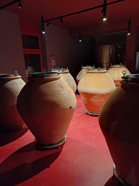 Biodynamics vineyard tour and tasting at Al di là del Fiume - Who Will Enjoy This Tour?