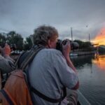 Birdwatching by boat in a small group in the Pialassa Baiona - What Makes This Tour Stand Out