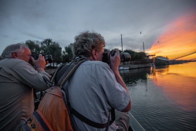 Birdwatching by boat in a small group in the Pialassa Baiona - What Makes This Tour Stand Out
