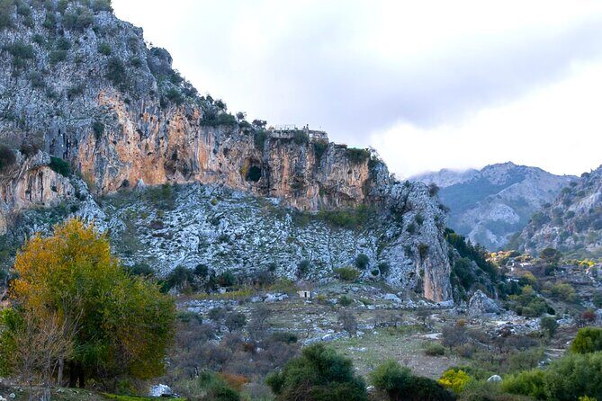 Birdwatching in Ronda and Grazalema - Exploring the Itinerary in Detail