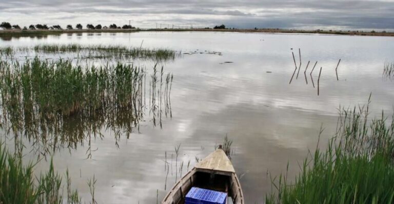 Birdwatching in the Ebro Delta - Highlights of the Itinerary