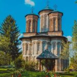 Bison Sanctuary, Vlad the Impaler Princely Court & Dracula Grave - Practical Details and What to Expect