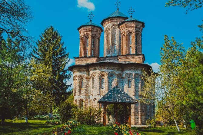 Bison Sanctuary, Vlad the Impaler Princely Court & Dracula Grave - Practical Details and What to Expect