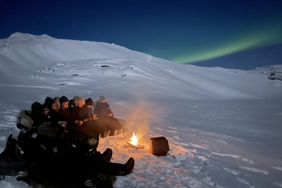 Björkliden/Abisko: Night Sky Snowmobile Tour - The Experience in Detail