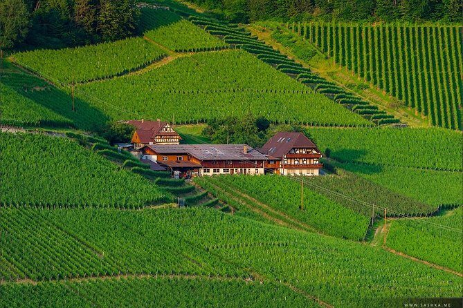 Black Forest. From Baden-Baden to Strasbourg. Two countries in one day - What Makes This Tour Special?