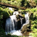 Black Forest Tour by car - start Offenburg or Freiburg - Who Should Consider This Tour?