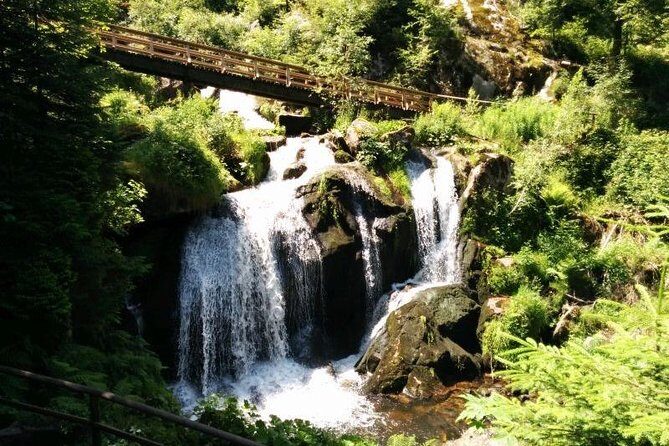 Black Forest Tour by car - start Offenburg or Freiburg - Who Should Consider This Tour?