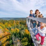 Black Forest: Treetop Walk & Lookout Tower Experience - Who Will Love This Experience?
