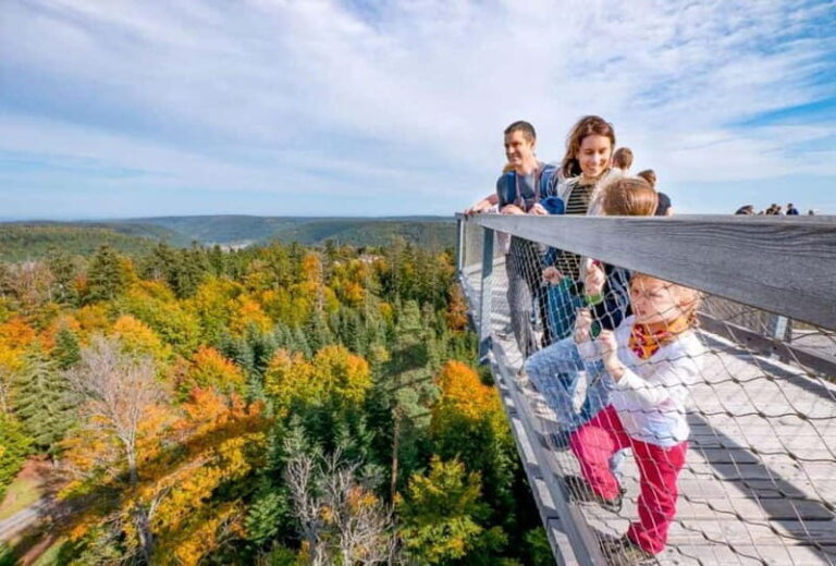 Black Forest: Treetop Walk & Lookout Tower Experience - Who Will Love This Experience?