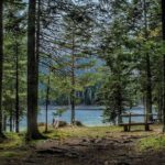 Black Lake and Djurdjevica Tara Bridge (Private tour) - What to Expect from the Experience