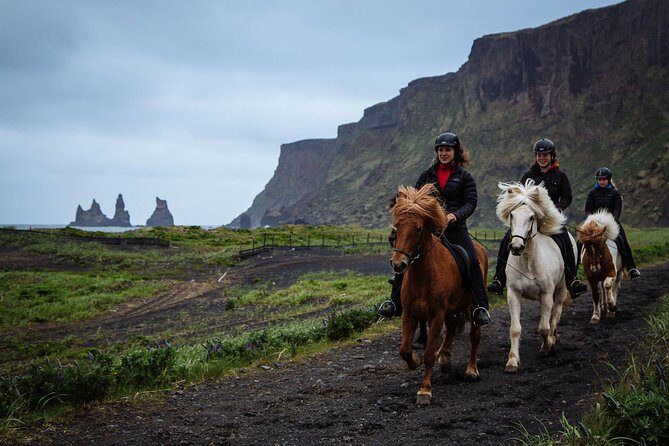 Black Sand Beach Horse Riding Tour from Vik - What Does the Tour Cost and Is It Worth It?