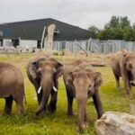 Blackpool: Zoo Admission Ticket - Practical Tips for Visitors