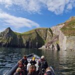 Blasket Island Sea Life Rib Tour, - Why This Tour Excels