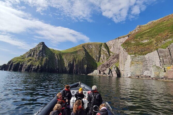 Blasket Island Sea Life Rib Tour, - Why This Tour Excels