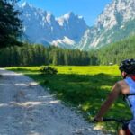 Bled: EBike Tour Lake Bled & Triglav National Park Private - Analyzing the Value: Is It Worth the $250?