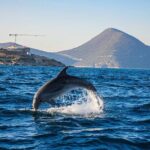 Blue Cave and Lady of the Rocks - Kotor tour up to 9 people 3hrs - What’s Included and What’s Not