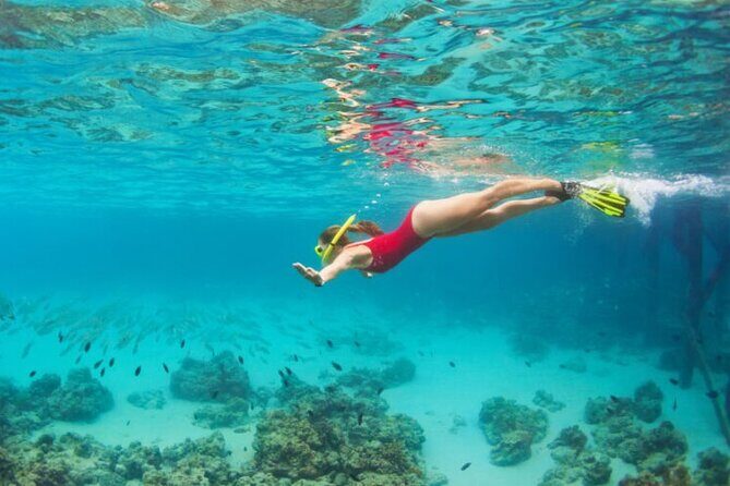 Blue Cave Full-Day Boat Tour with Hvar and 5 Islands - FAQs